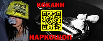 шишки Дубна