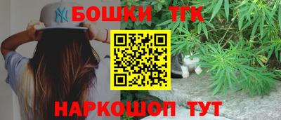 шишки Дубна