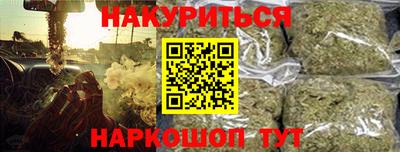 шишки Дубна