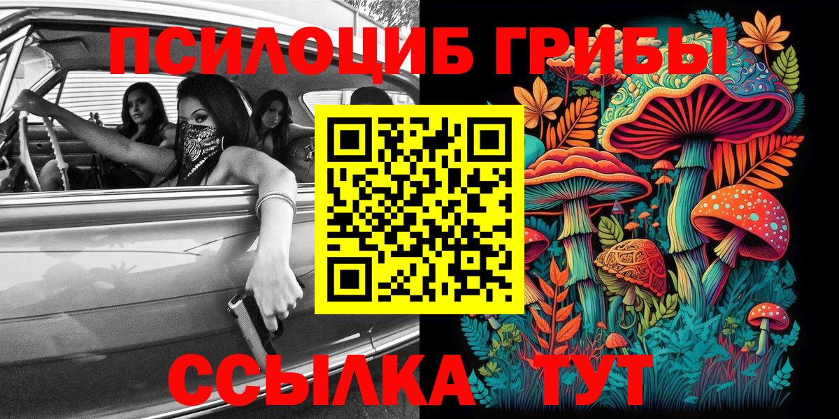 Псилоцибиновые грибы GOLDEN TEACHER Карпинск